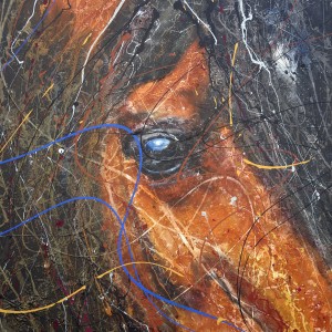 horse with no name 07